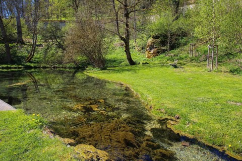 Lauter spring, Große Lauter, karst spring, body of water, park, idyll, meadow, lawn, trees,