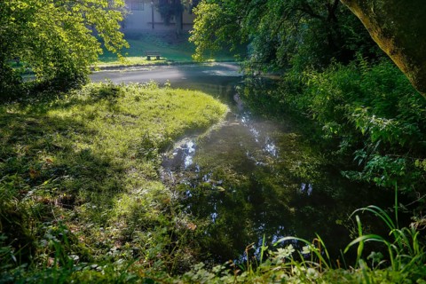 Lauter spring, Große Lauter, karst spring pot, water, park, idyll, meadow, lawn trees, backlight,