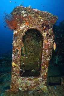 Pigmy sweeper (Parapriacanthus ransonneti) hiding in staircase of shipwreck, Indian Ocean, South