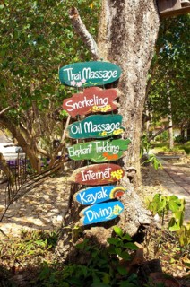 Tree-mounted information for tourists Holidaymakers on colourful signposts Wooden signs for offers