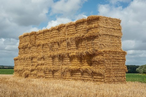 Pile of rectangular straw bales at Ystad, Skåne county, Sweden, Scandinavia