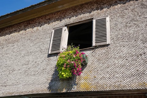 Façade covered with wooden shingles with floral decorations under the window, close-up of the