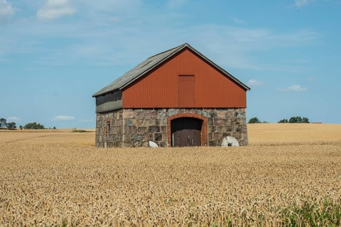 Former windmill converted into a warehouse surrounded by wheat fields at Ystad, Skåne County,