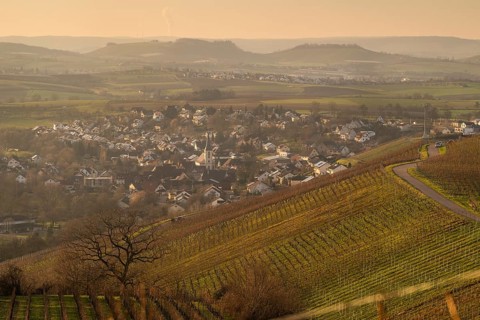 Vineyards and the village of Michelbach in autumn, Hohenlohe, Baden-Württemberg, Germany
