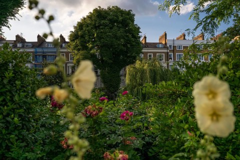 Flowers and trees against an urban backdrop, St James's Garden, Kensington, London, England, Great
