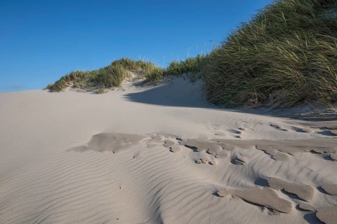 Dunes, wave pattern in the sand, beach grass, blue sky, Hvide Sande, North Sea, Denmark