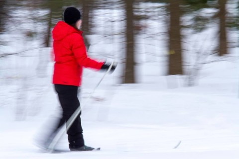 Person skiing, Slow motion image, City of Montreal, Province of Quebec, Canada, North America