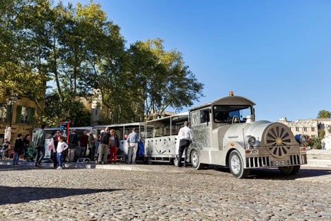 Tourist railway, tourist train, tourist group in the old town, Avignon, Vaucluse, France