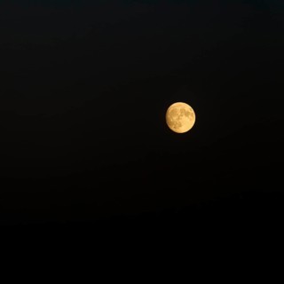Waxing moon in the night sky, two days in front of full moon, detachable, Camargue, France