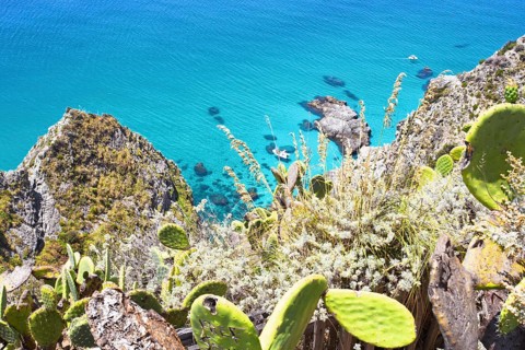 Rocks and wild vegetation overlook the turquoise sea, Ricadi, Capo Vaticano