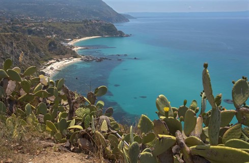 Extensive coastal landscape with cacti and turquoise blue sea, Ricadi, Capo Vaticano