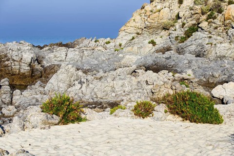 Coastline with rock formations and sand, sparsely overgrown with plants, Ricadi, Capo Vaticano
