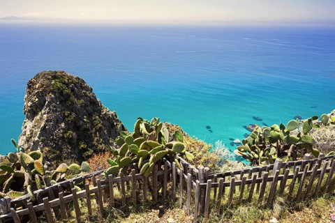 Cactus landscape with views of cliffs and the wide blue sea, Ricadi, Capo Vaticano