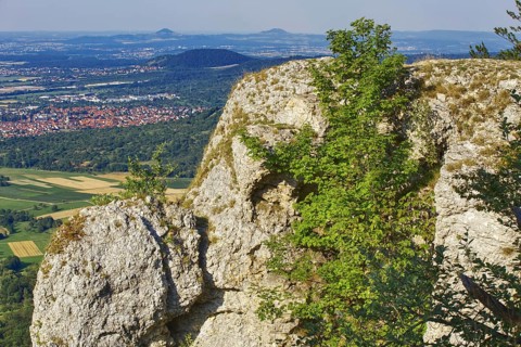 Breitenstein rock plateau with tree and panoramic view of fertile valley and mountains, Bissingen