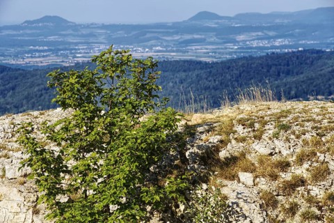 View of the natural landscape from the Breitenstein rock plateau, Bissingen an der Teck,