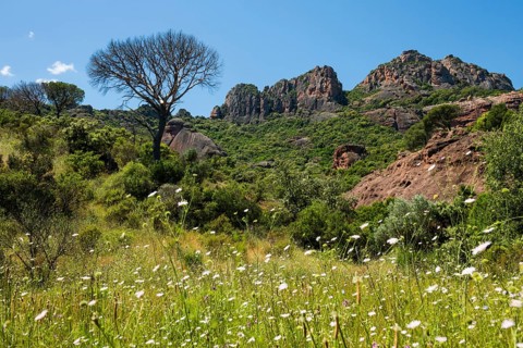 Rocher du roquebrune, Roquebrune-sur-Argens, near Saint-Raphaël, Massif de l'Esterel, Esterel