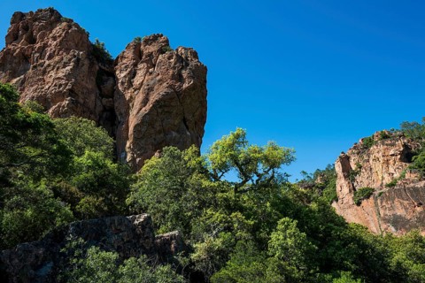 Gorge with red rocks, Gorges du Blavet, Bagnols-en-Forêt, near Saint-Raphaël, Massif de l'Esterel,