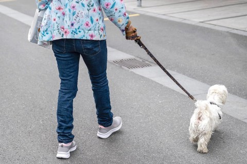 Woman with dog on a lead, Interlaken, Bern, Switzerland