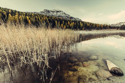 Lake Staz near Sankt Moritz in the Engadin in Switzerland. Morning atmosphere with fog in autumn.
