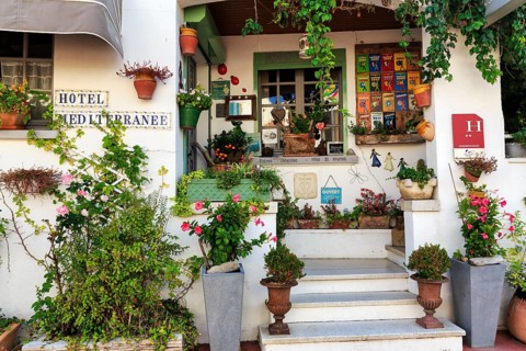 Staircase with many different flower pots, hotel entrance, Saintes-Maries-de-la-Mer, Camargue,