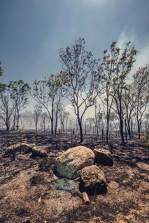 Bushfires in the Australian outback