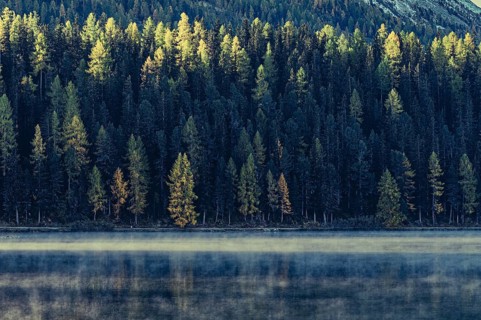 Autumn atmosphere on a cold morning in the Engadin in the Swiss Alps