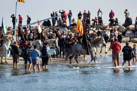 Crowd, guardians of the Camargue, traditional shepherds riding through water, rider on Camargue