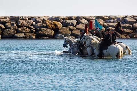 Guardians of the Camargue, traditional shepherds riding through water, rider on Camargue horse,