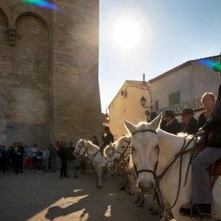 Guardian of the Camargue, rider on Camargue horse in front of the church, sunbeams, pilgrimage,