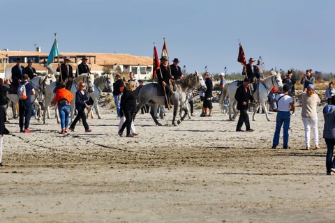 Guardians of the Camargue, traditional shepherds ride across the beach to the sea, rider on