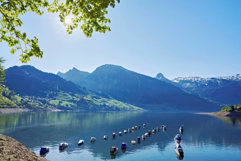 Motorboats moored at the reservoir, snow-covered Alps in the background, Lake Wägital, Canton