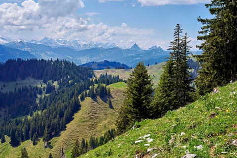View from the small Aubrig to the small and large Mythen and Alps, Wägital, Canton Schwyz,