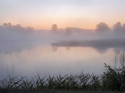 Pond in the fog at dusk in the Schoren nature reserve, Mühlau, Freiamt, Canton Aargau, Switzerland