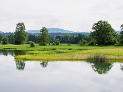 Pond in the Schoren nature reserve, Mühlau, Freiamt, Canton Aargau, Switzerland