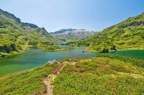 Almrauschblüte am Giglachsee, Giglachsee, Almrausch, mountains, Niedere Tauern, blue sky,