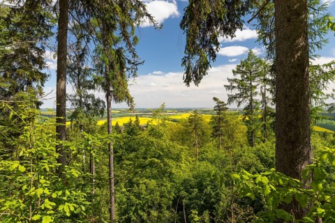 On the porphyry nature trail over the Rochlitz mountain, former panoramic view from the Seidel