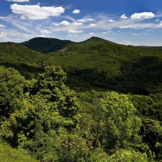 Siebengebirge, low mountain range on the right bank of the Rhine, Königswinter, North