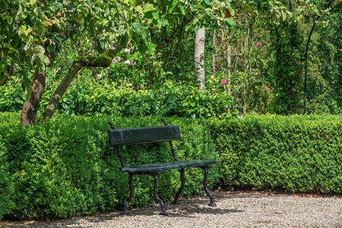 Park bench stands on a gravel path in front of lush green bushes and trees, Borg Verhildersum,