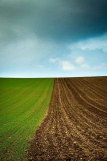 Lush green fields meet freshly plowed brown earth under a swirling sky filled with clouds, Limagne