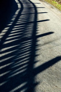 Shadows cast by a fence stretch across a sunlit path, creating an intriguing interplay of light and