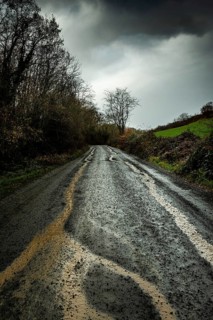 A winding country road stretches through a dense landscape, marked by tire tracks in the wet mud.