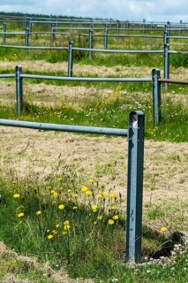 This rural landscape showcases a large open field bordered by blue metal fencing. Puy de Dome,