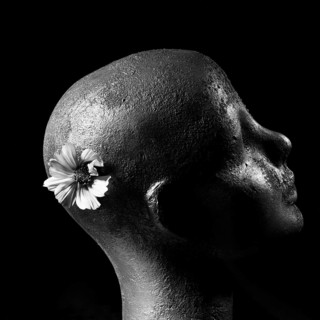 A sculpted head features an abstract form and textured surface, with a delicate flower delicately