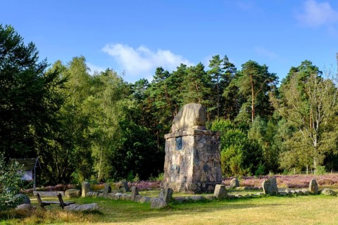 Hermann Löns monument, heath on Wietzer Berg, broom heather blossom, Südheide, Lüneburg Heath, near