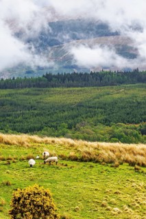 Nevis Range Mountains from Commando Memorial, Grampian Mountains, Fort William, Highland, Lochaber,