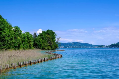 North shore, on Lake Lake Wörth, near Töschling, Carinthia, Austria