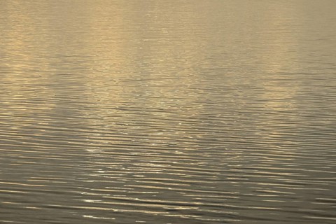 Light reflections on the wavy water surface, North Sea, Norddeich, Lower Saxony, Germany