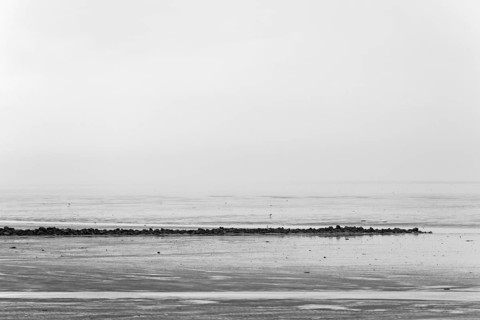 North Sea coast, cloudy winter day, Wadden Sea at low tide, stone groyne as coastal protection,