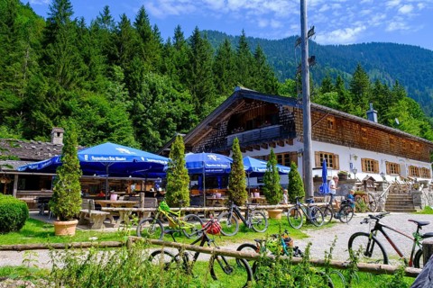 Schwaigeralm near Kreuth, Upper Bavaria, Bavaria, Germany