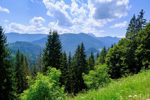 View from the Reichsteinalm, above the Erzherzog Johann Klause, on the Malerschlag - Valeppstraße,